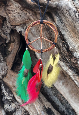 Dream Catcher